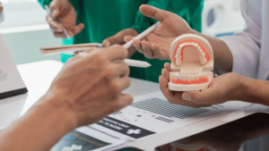 Dentist explaining dental prosthetics using a 3D model of teeth and gums during a consultation. Discussion on dentures, dental implants, and oral health solutions.