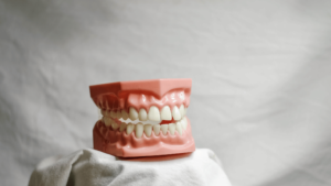 Artificial dental model with a full set of white teeth, used for dental education and treatment planning. Learn about natural teeth whitening and professional whitening solutions.